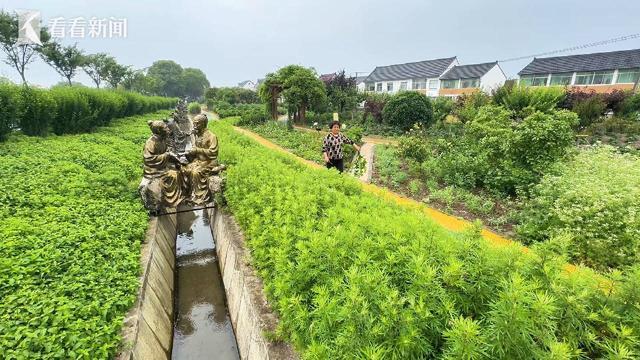 个传统佳节为何能全球圈粉无数澳门新葡京网站老外也玩嗨！这(图8)