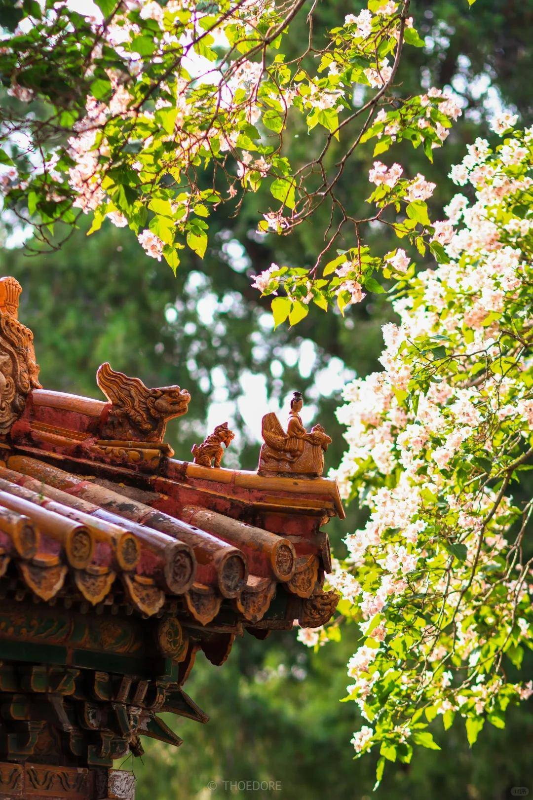 端定制旅行社 TOP5你的行程你说了算澳门新葡京北京靠谱的旅行私人订制！高(图2)