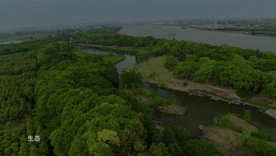 贰号售楼处发布:兰香湖·2号美学新境界澳门新葡京网页九月豪宅聚焦@兰香湖·(图6) 贰号售楼处发布:兰香湖·2号美学新境界澳门新葡京网页九月豪宅聚焦@兰香湖·(图6)