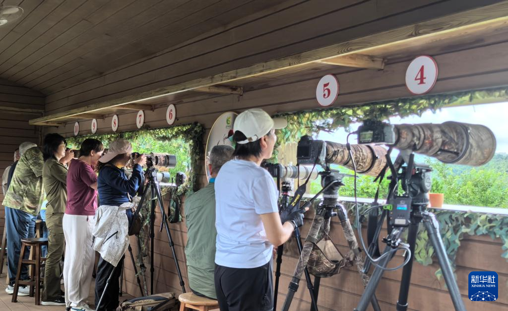 年培育一观鸟产业-新华网澳门新葡京福建明溪：十(图2)