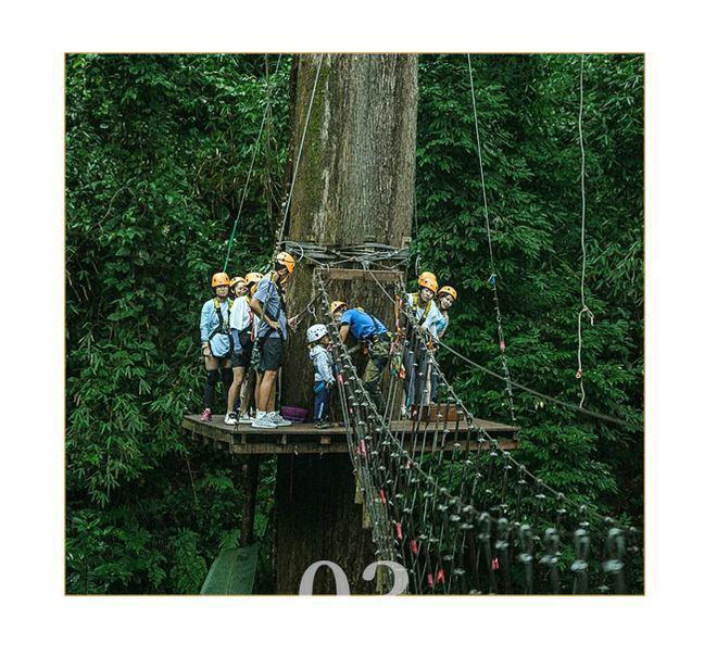 p10推荐!专业地接服务权威榜单发布新葡京2025年度西双版纳地接社to(图4) p10推荐!专业地接服务权威榜单发布新葡京2025年度西双版纳地接社to(图4)